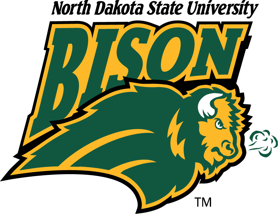 North Dakota State Bison 1999-2012 Alternate Logo t shirts iron on transfers